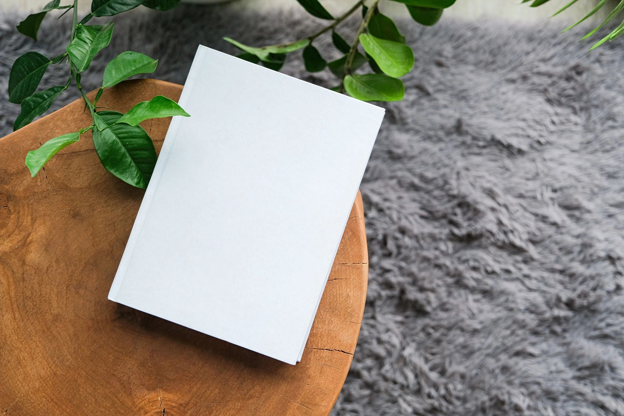 Minimal book and plants flatlay representing an editorial lifestyle magazine aesthetic
